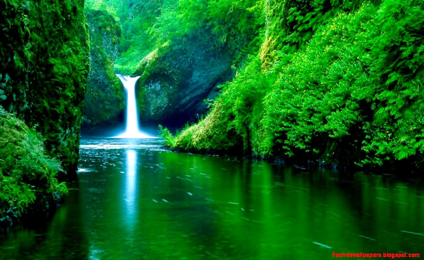 Live Wallpapers Live Wallpapers