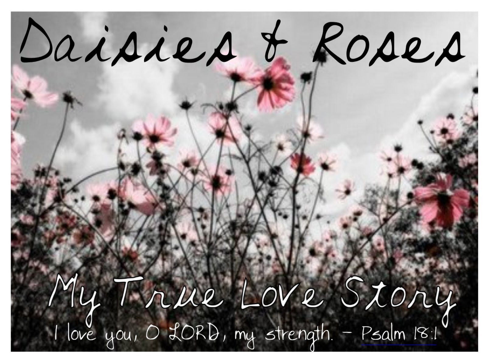 Daisies+and+roses+lyrics