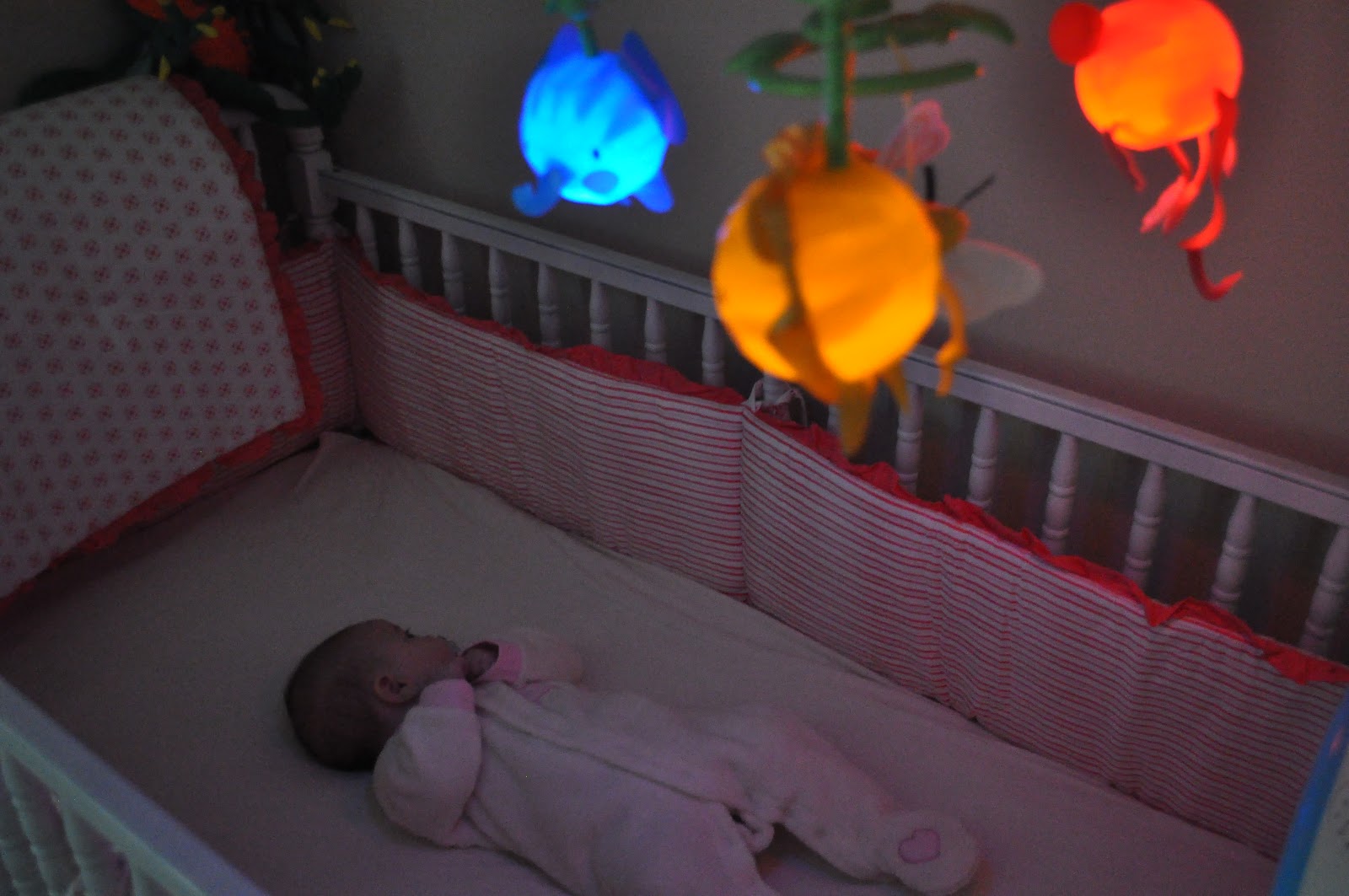 Da Maestro A La Figlia Director Turns Daddy Crib Dwelling The