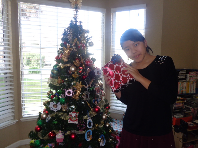 サンフランシスコ 郊外 ミキゲストハウスオーナーのブログ 高校生 アメリカホームステイ体験 クリスマス編 プログラム３日目