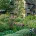 Cottage Garden: Country garden