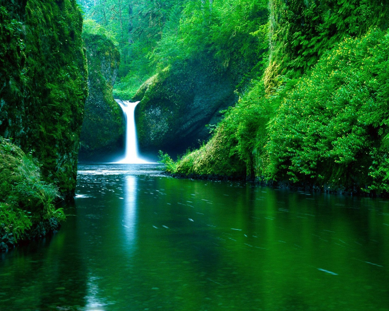 http://3.bp.blogspot.com/-yhLByyTqhEE/T0urCrYdhnI/AAAAAAAAA6w/HyJXiDX2V9g/s1600/nature-wallpaper.jpg