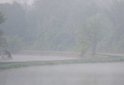 toit et moi rencontre