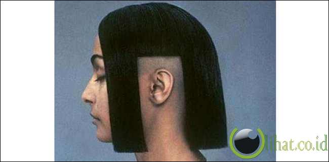 Jendela di Telinga Jendela di Telinga