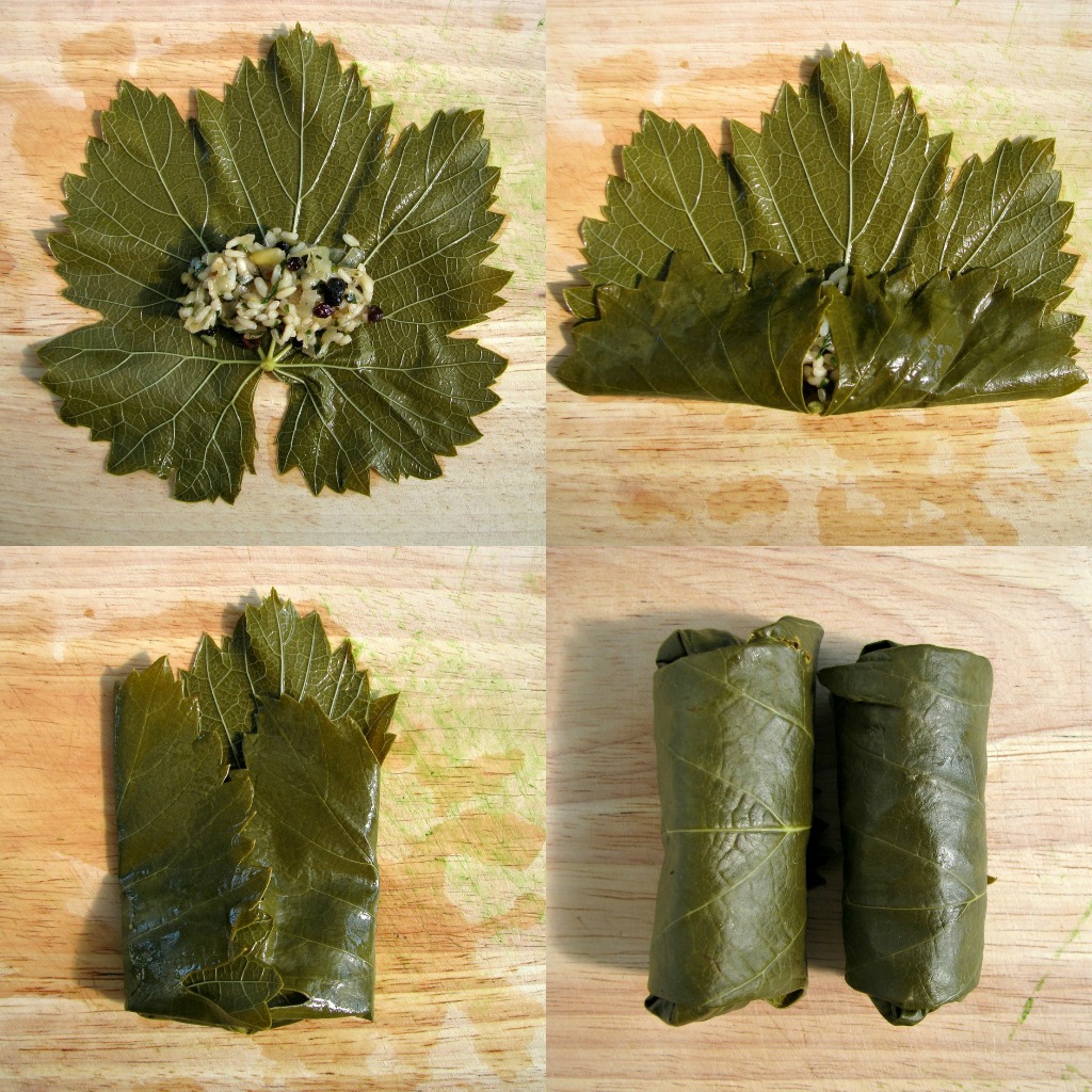 vegetarian dolmades recipe My Darling Lemon Thyme