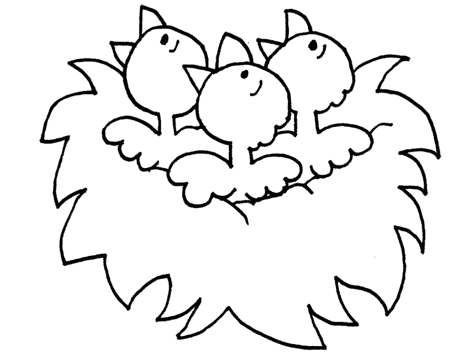 fazendo a minha festa para colorir passarinhos fofinhos imagens