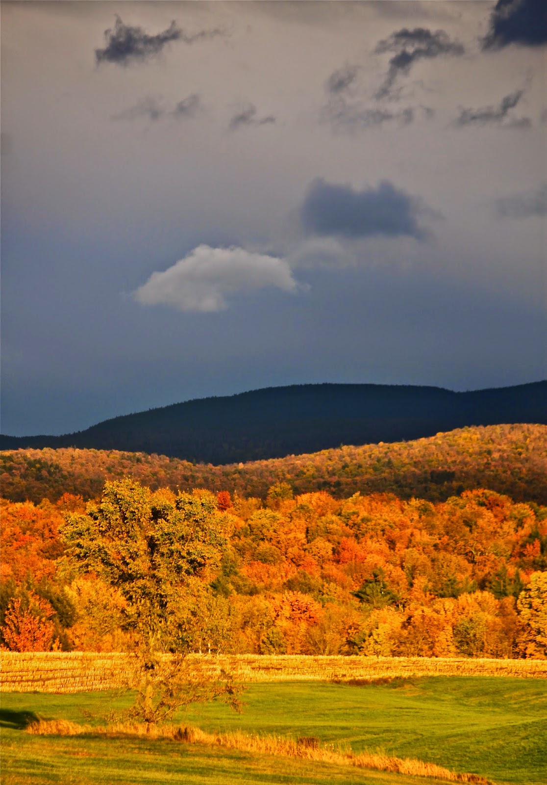 Matt's Weather Rapport Feeling Chilled? Looking Back At A Warm Vermont