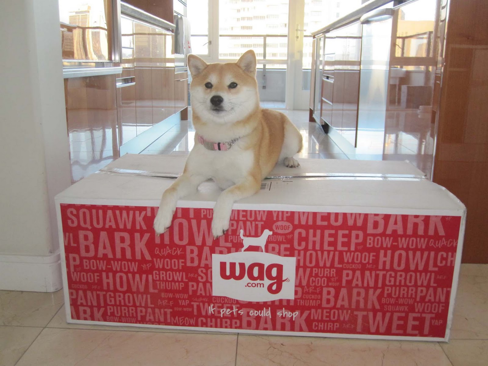 Posh Dog Beds For Sale Posh Dog Beds For Sale