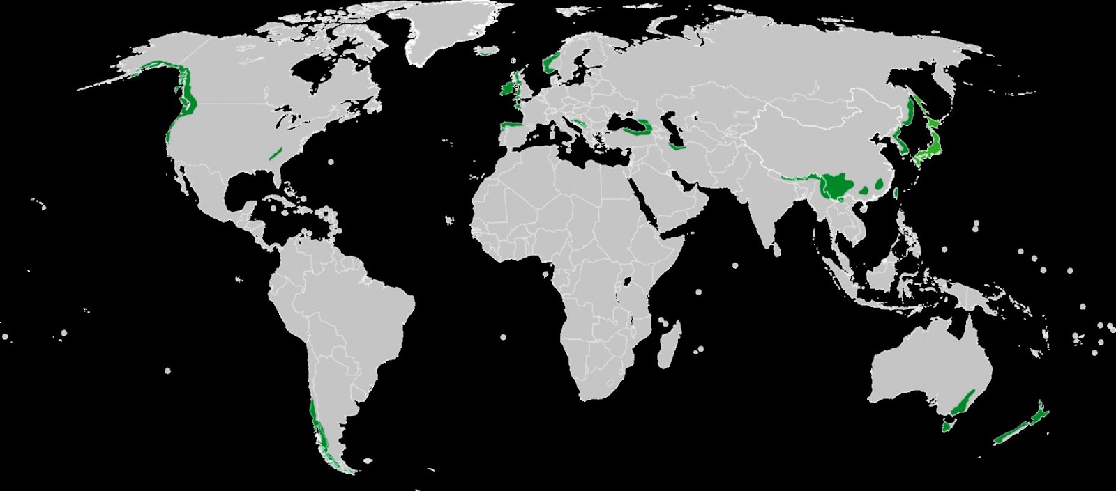 Temperate rainforest Wikipedia the free encyclopedia Temperate rainforest Wikipedia the free encyclopedia