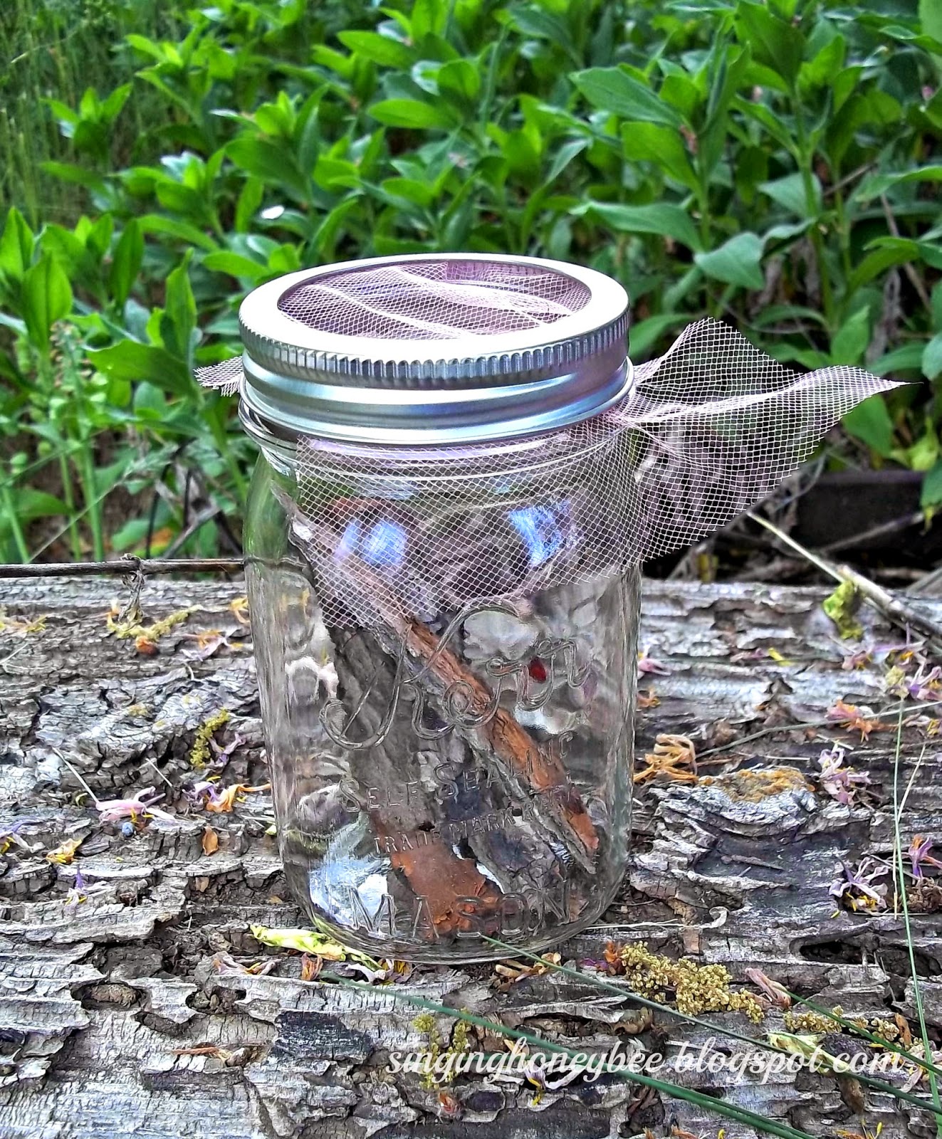 Singing Honey Bee Mason Jar Bug Catcher