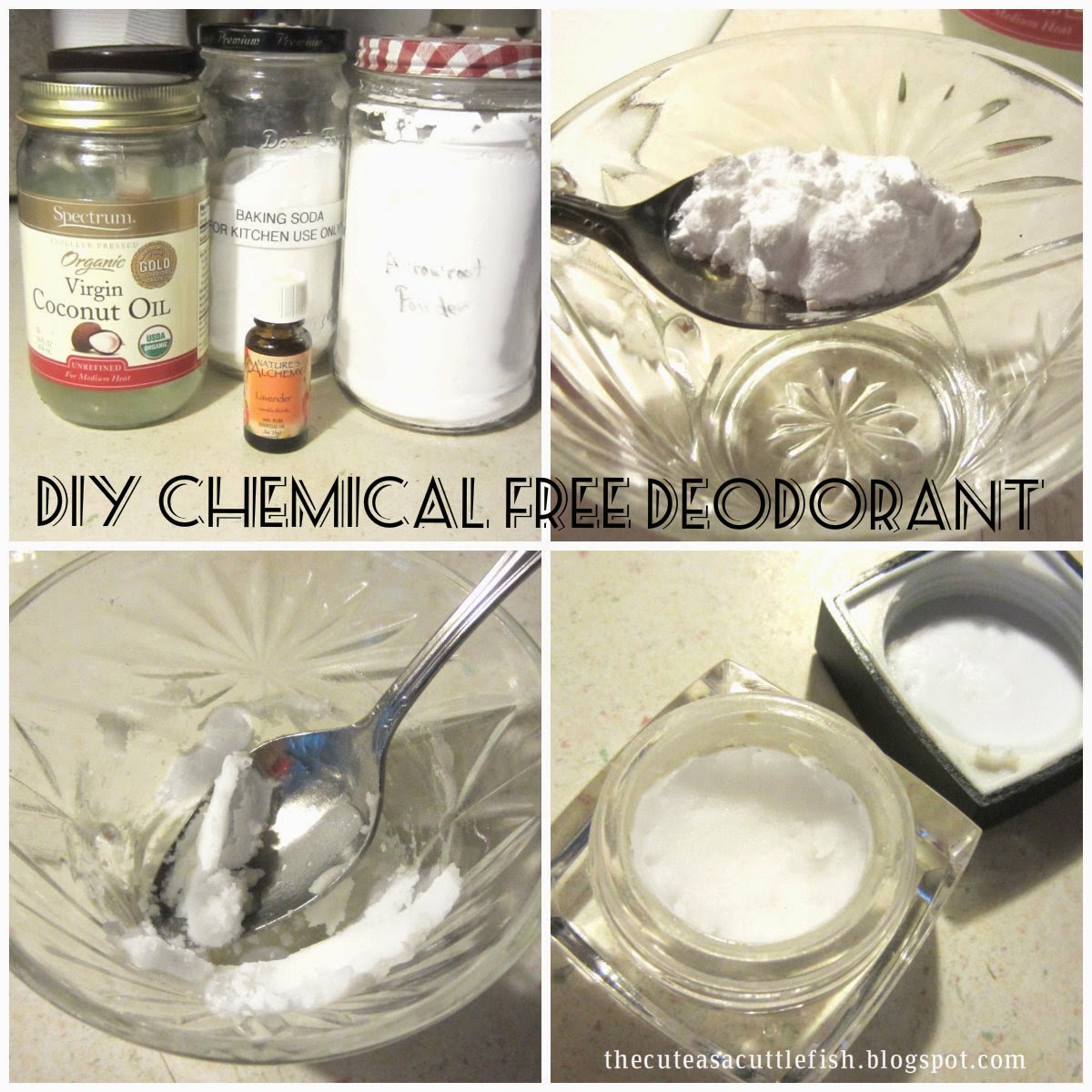 Cute Cuttlefish DIY Chemical Free Deodorant