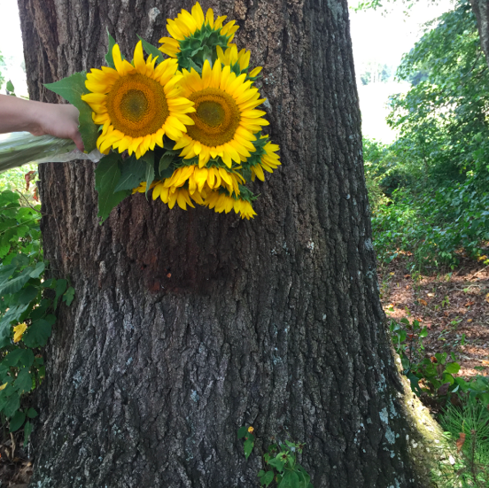 Exploring Atlanta // Field of Sunflowers Verbal Gold Blog