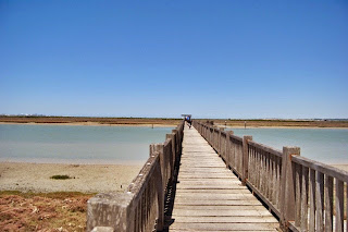Marisma de Los Toruños. Foto de los Toruños. Destino Cádiz.