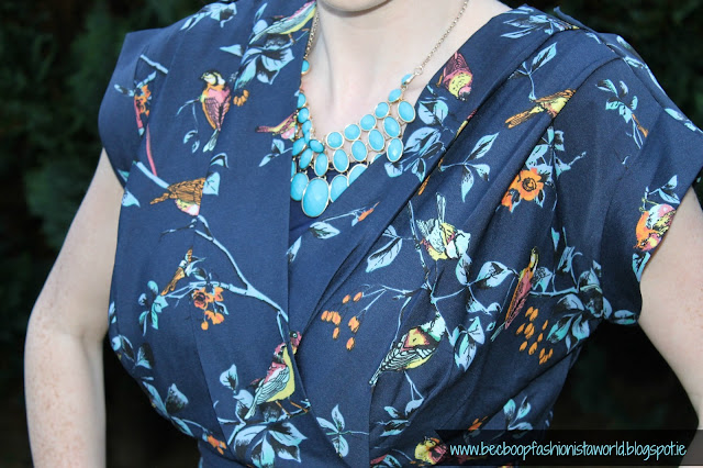 LMLMF Closet Clothing Bird Print Dress Blog Review