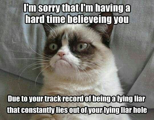 liar2.jpg