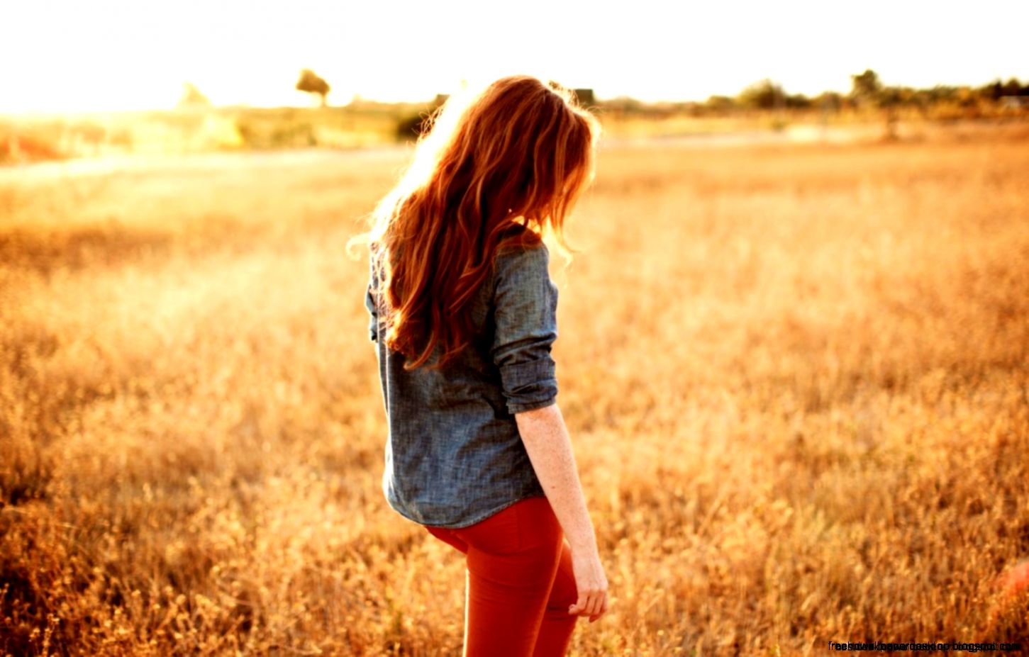 Girl Field Redhead Hd Wallpaper Best Desktop Wallpapers Girl Field Redhead Hd Wallpaper Best Desktop Wallpapers