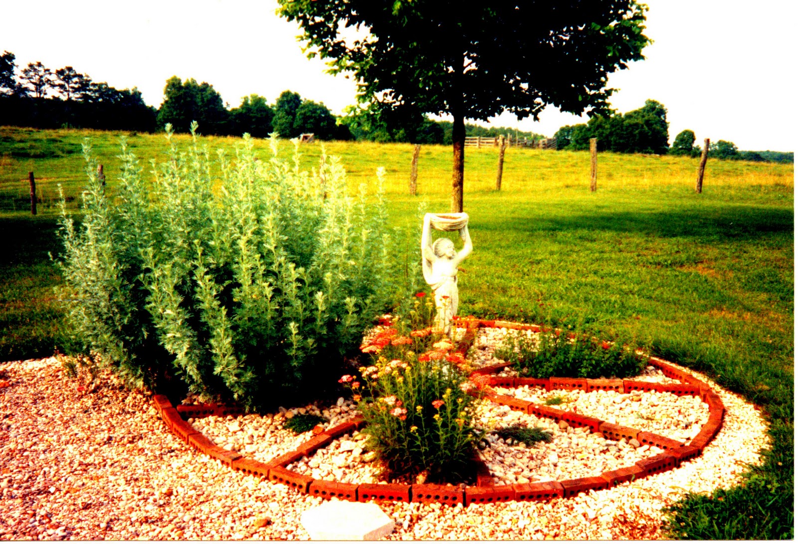 Apron Strings and Favorite Things Herb Gardening in Kentucky