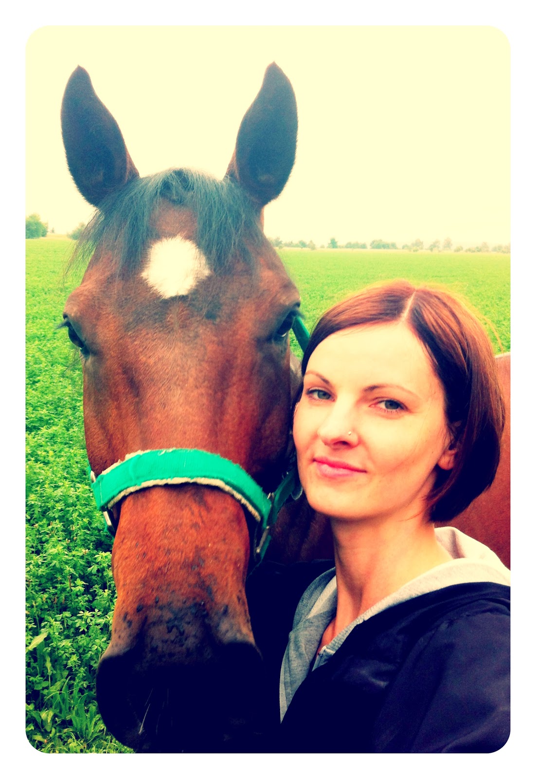 Serendipity is Life Neues vom Pferd&hellip;