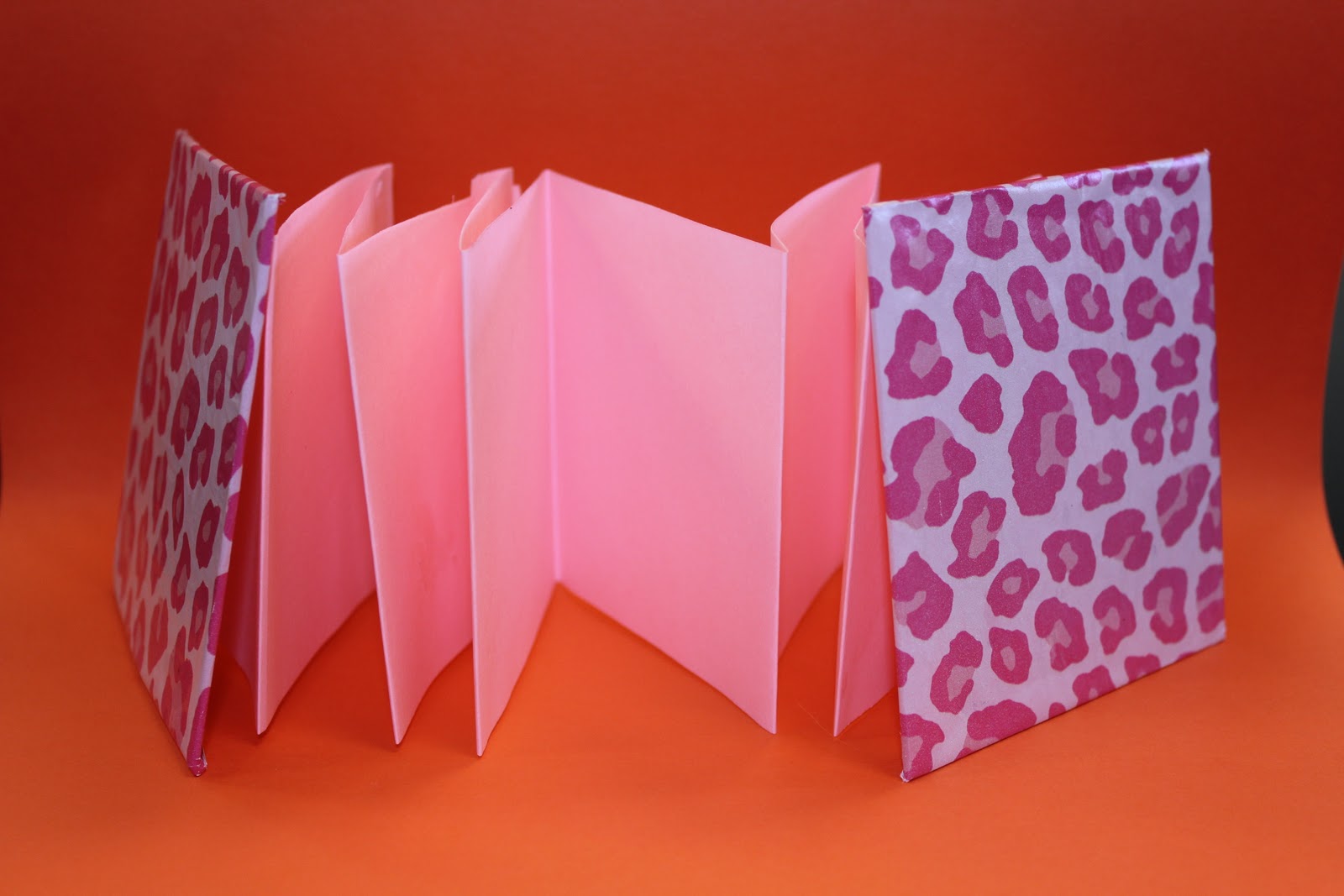 Kim & Karen 2 Soul Sisters (Art Education Blog) Accordion Style Books!