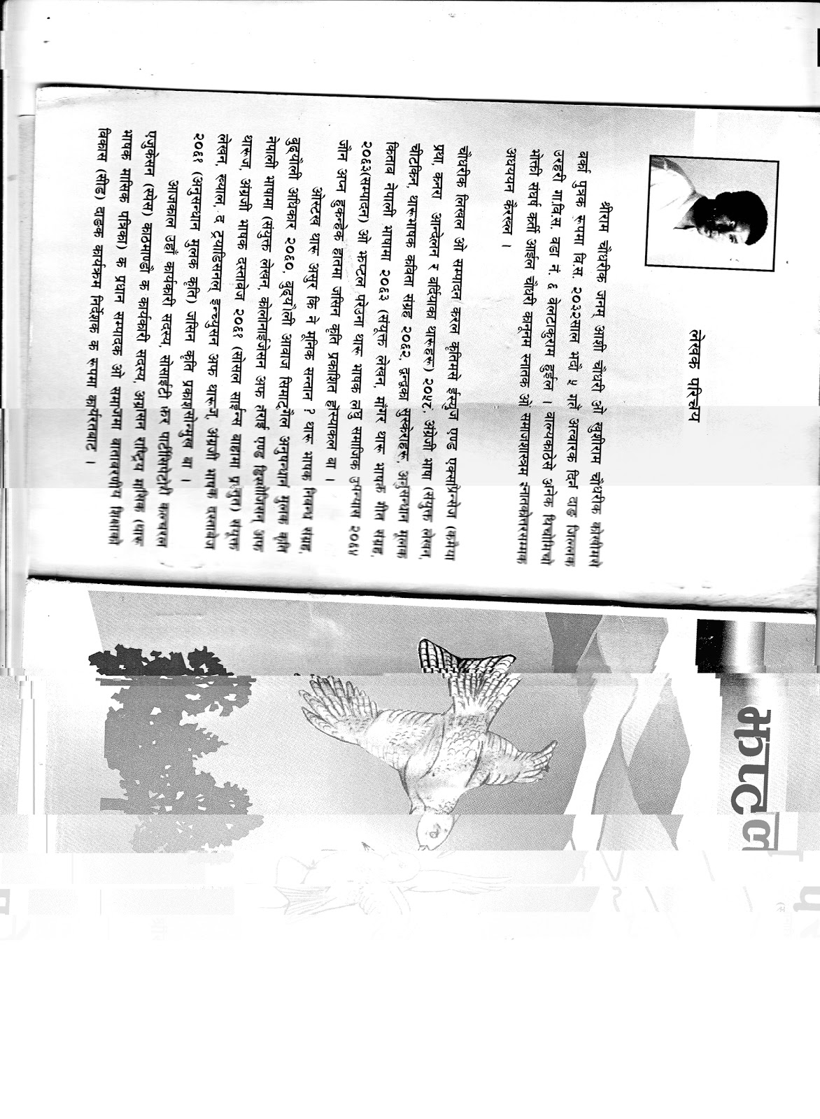 universal declaration human rights essays universal declaration human rights essays