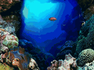 gif screensaver windows 7 gif screensaver windows 7