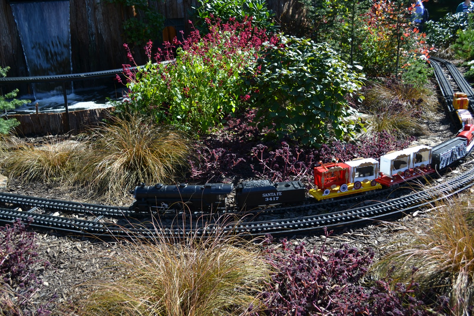 It's All About Purple Longwood Gardens Railroad