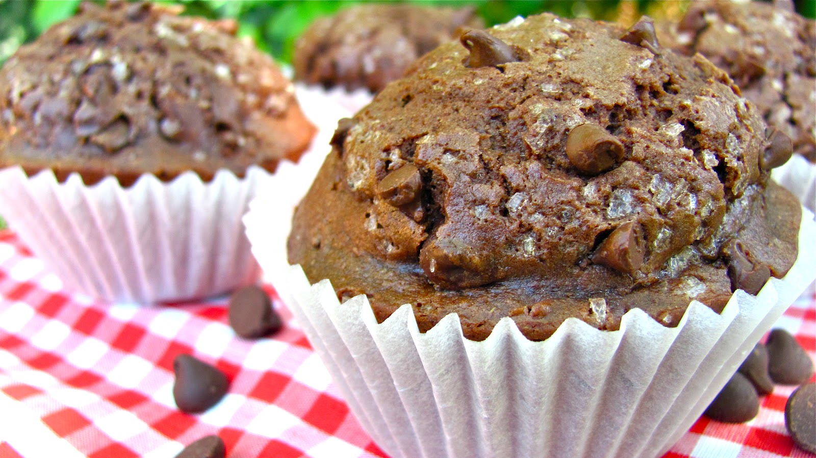 Sprinkle Some Sunshine! chocolate chocolate chip muffins party!