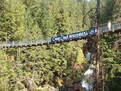 Crazy Creek Suspension Bridge