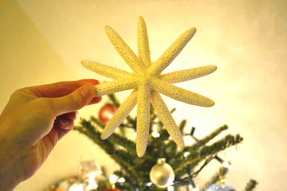 Shorely Chic DIY STARFISH CHRISTMAS TREE TOPPER