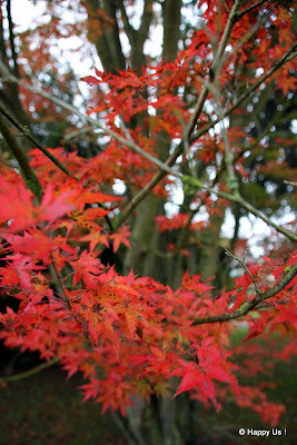 Une balade en Automne...