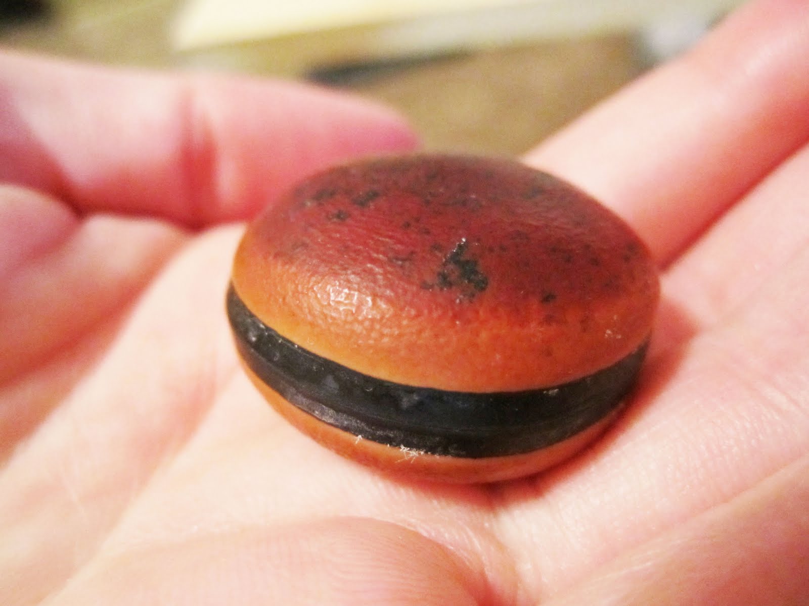 KinkyDesign The Seabean Hunt Is On!