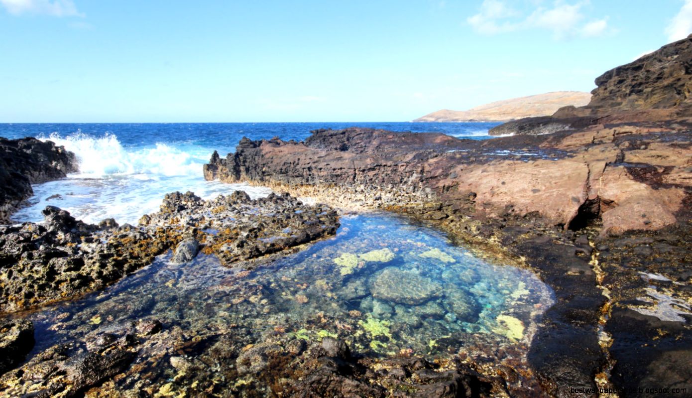 Tide Pools Related Keywords amp Suggestions Tide Pools Long Tail Tide Pools Related Keywords amp Suggestions Tide Pools Long Tail
