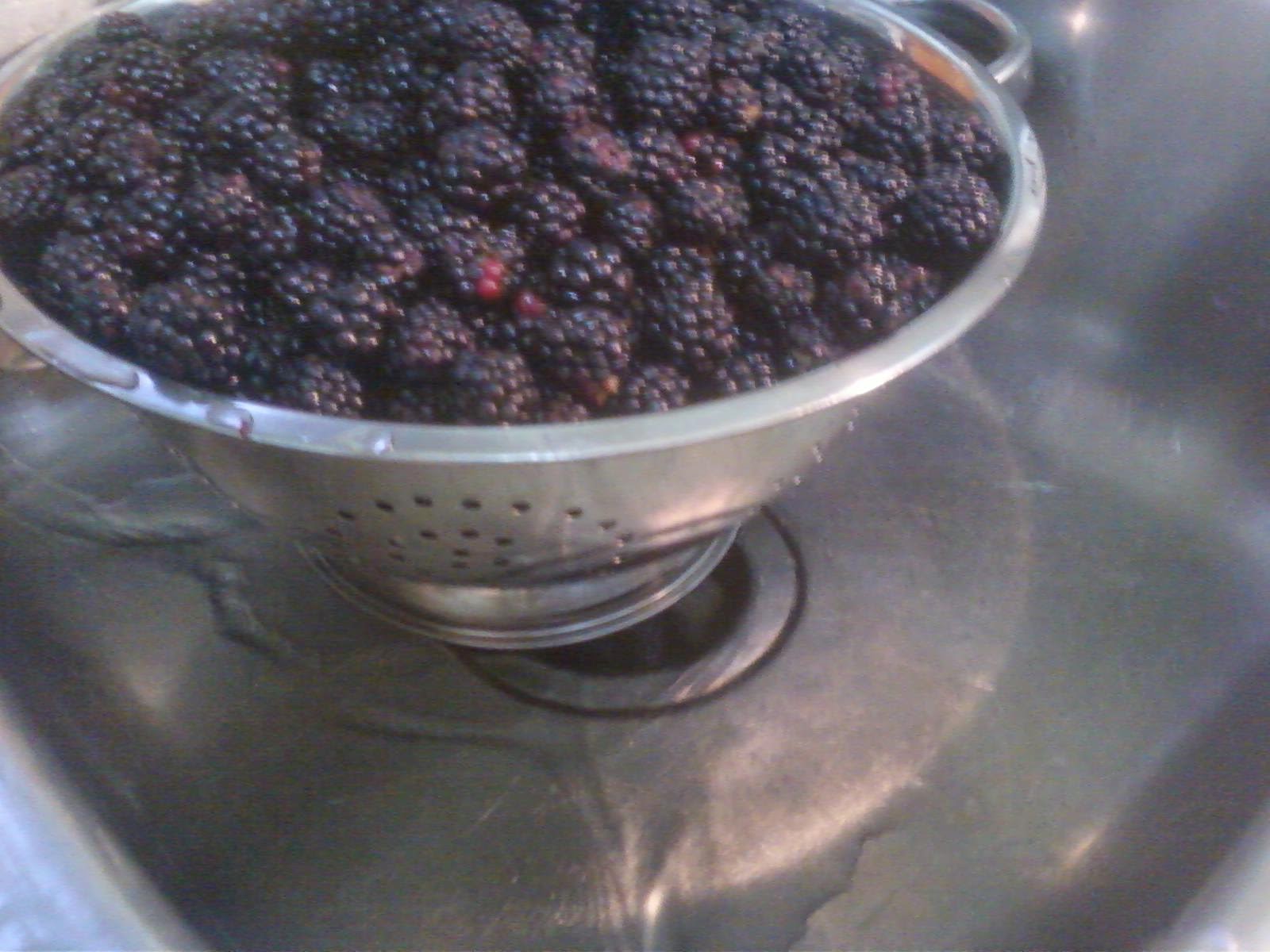 Lucy of Orchard Slope An Easy Way to Wash Berries