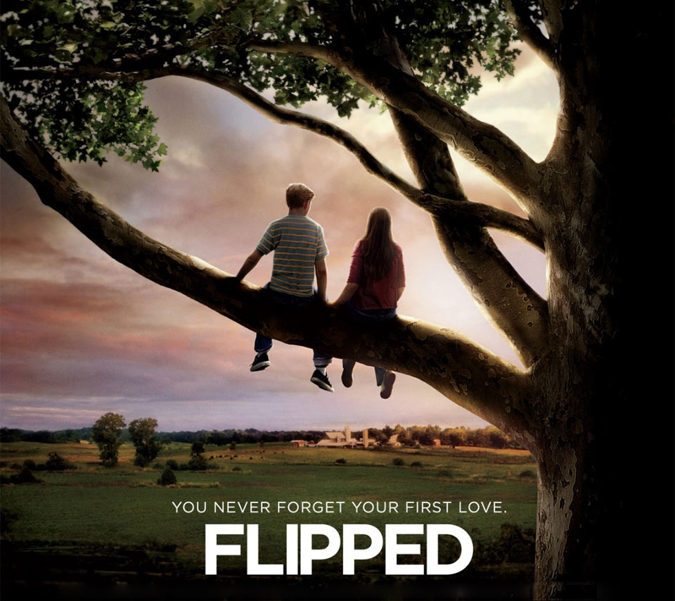essay on flipped by wendelin van draanen essay on flipped by wendelin van draanen