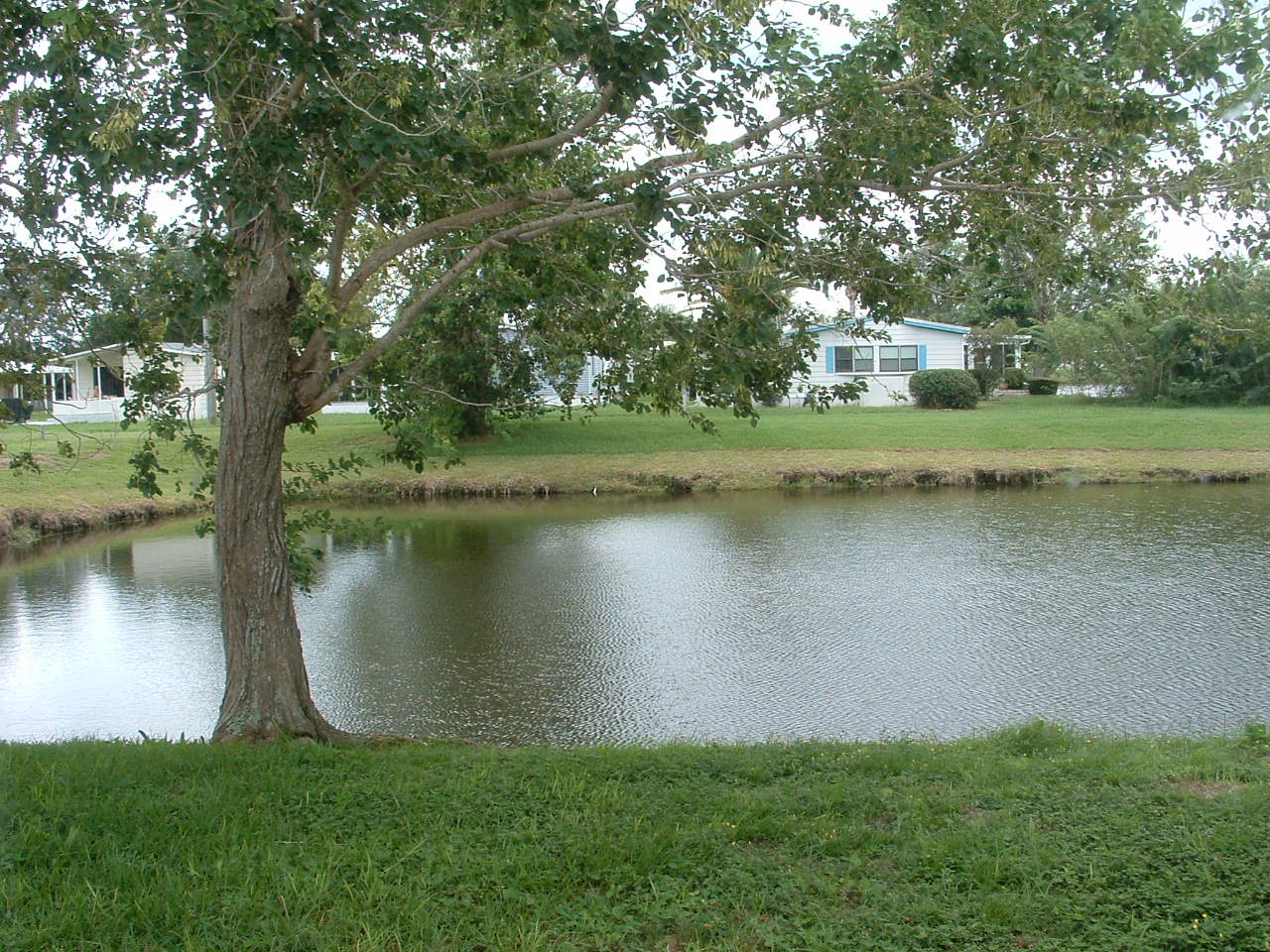 Home For Sale SLCCV Home For Sale Spanish Lakes Country Club Village