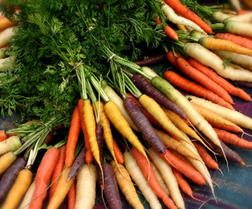 Colors Of Carrots