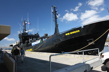 The Bob Barker docked in Hobart Tazmania