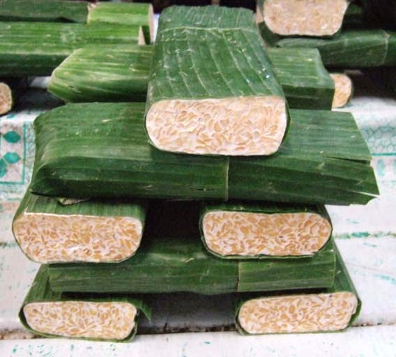 how to make tempeh from soy beans Home Industry