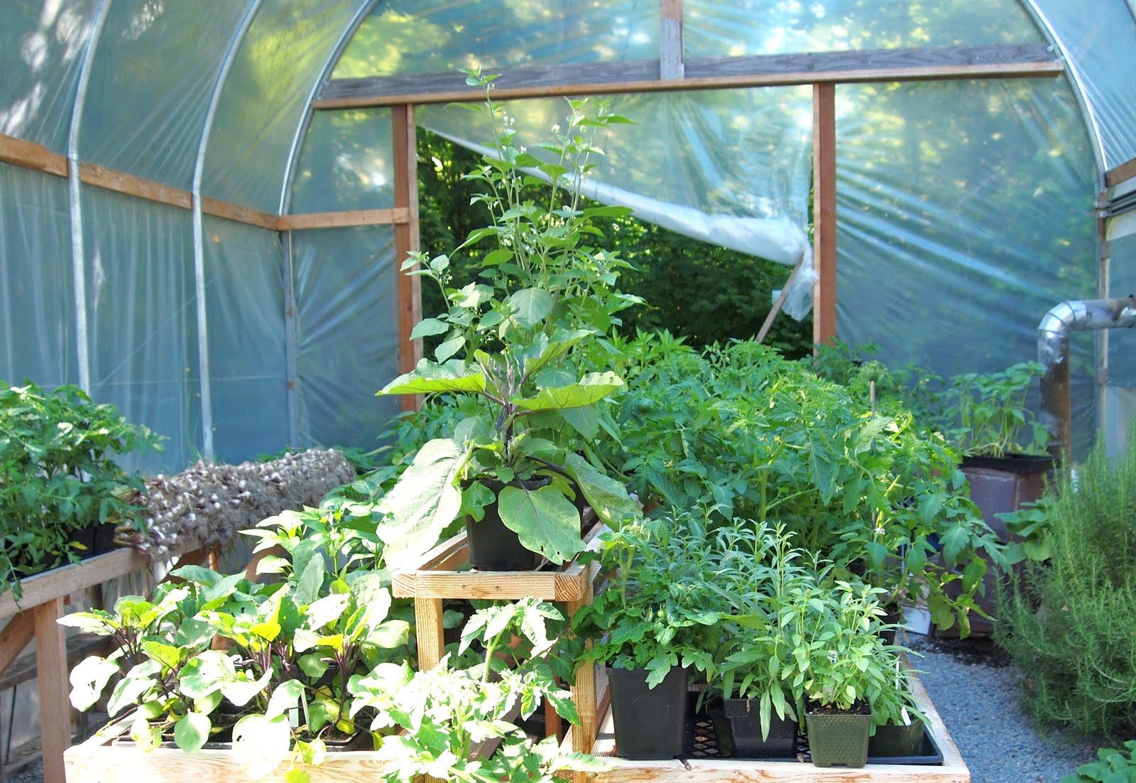 The Alchemist An Update and for the locals Paradise Organics!