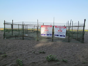 "Turtle Hatchery Site" on Velas beach.
