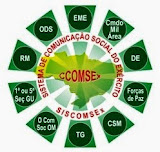 Organograma SISCCOMSEx