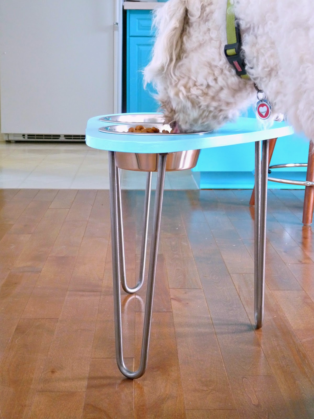 DIY Raised Dog Bowl Stand With Mod 1960s Shape + Hairpin Legs Dans le