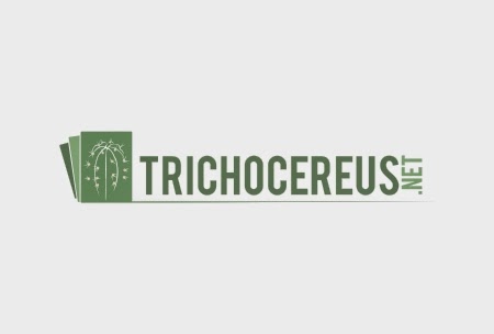 Trichocereus Blog