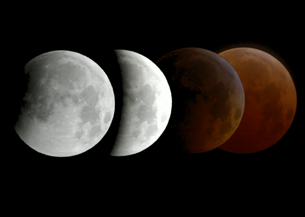 Want to watch Lunar Eclipse? Head to Google
