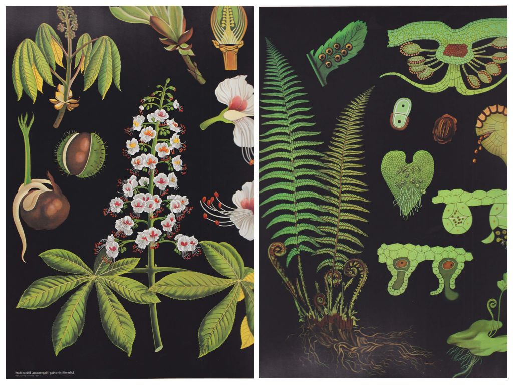 green bicycle black botanical prints