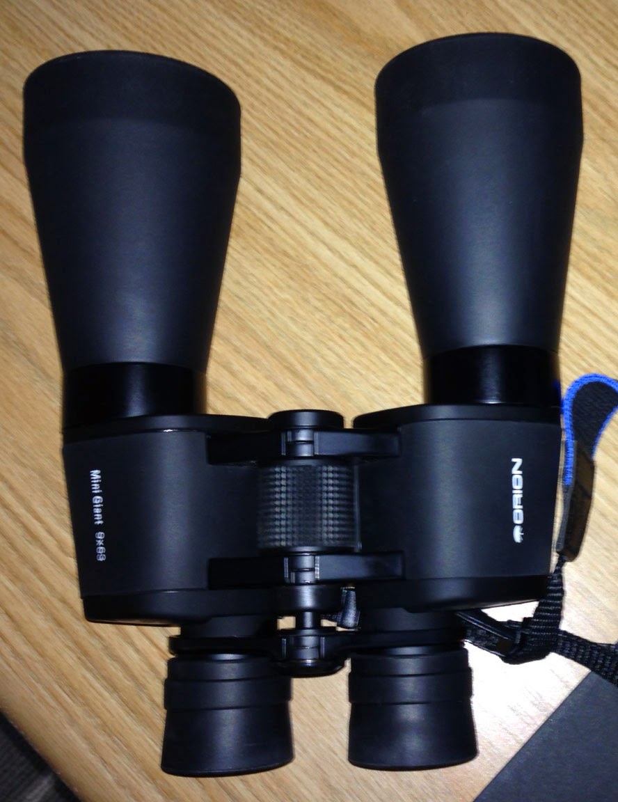 Insight Observatory Astronomy Education Utilizing Remote Robotic and Backyard Telescopes