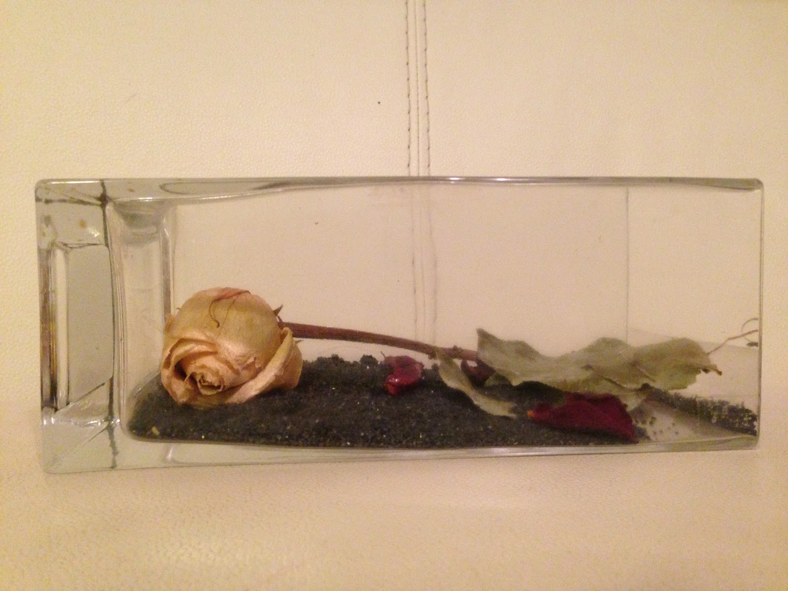 LA MECCA DIY Make flowers last forever