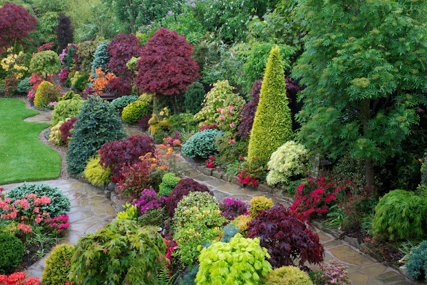 drelis gardens four seasons garden