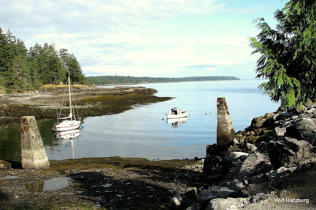 Gravelly Bay, Denman Island (terminal for departures to Hornby Island)