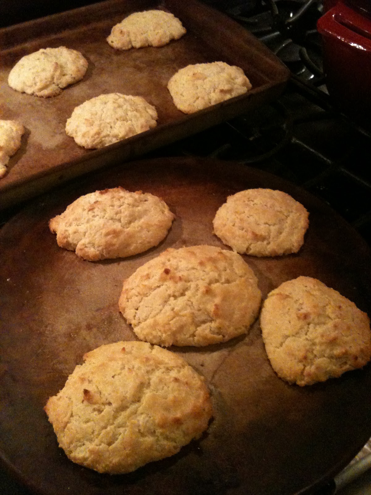 Cooking With Cooper ButtermilkCornmeal Drop Biscuits with Honey Butter